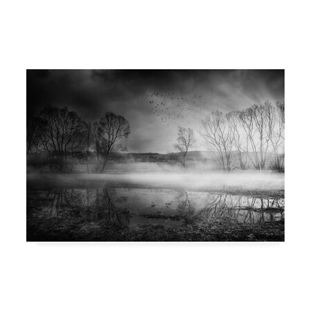 Stanislav Hricko 'Midnight Fog' Canvas Art,30x47